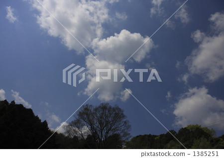 雲彩 雲 樹木 1385251