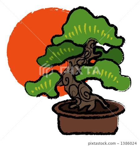 Pine bonsai 1386024