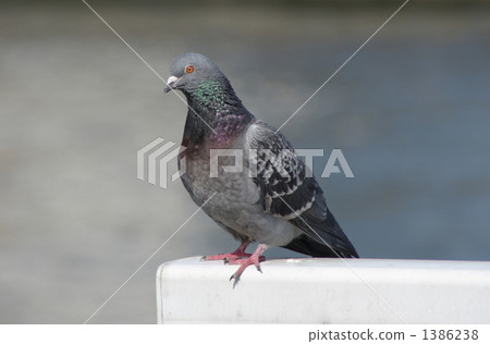 Hatto 01 People 1386238