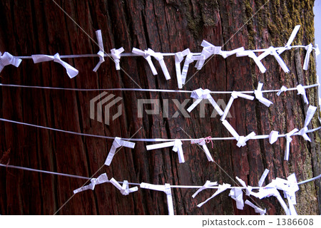 osugi, knot, tie 1386608