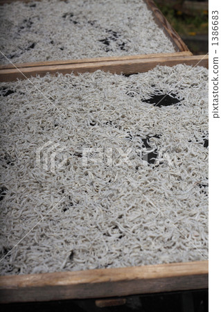 Shiratorishi dried 1386683