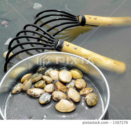 Clamming Clamming 1387276