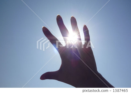 Dazzling Dazzling 1387465