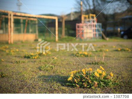 Evening schoolyard Evening schoolyard 1387708
