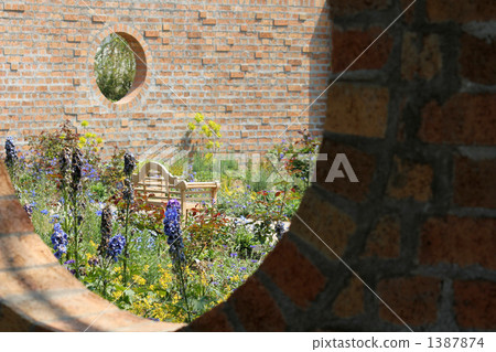 魯冰花 羽扇豆 花朵 1387874