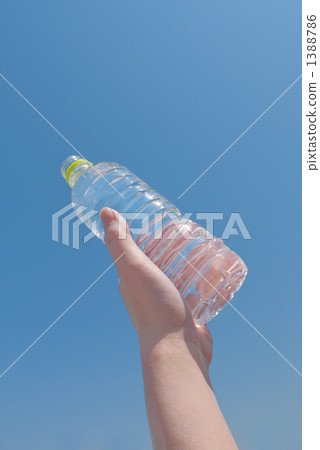 Cherry Blossoms Cherry Blossoms 1388786