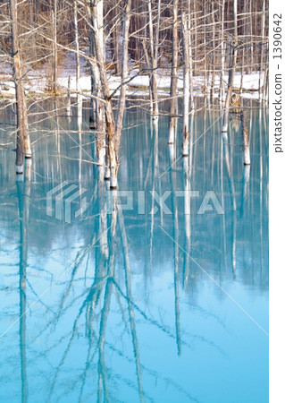 美瑛在美瑛 1390642