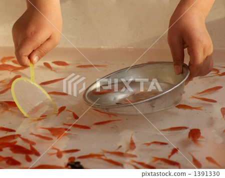 Goldfish scoop (child) 1391330