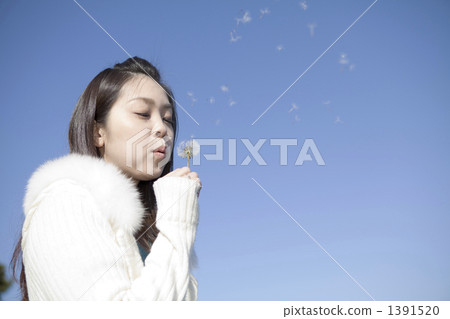 女人吹蒲公英的絨毛 女人吹蒲公英的絨毛 1391520