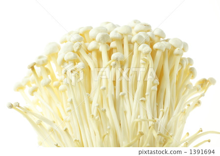 金針菇 金針菇 1391694