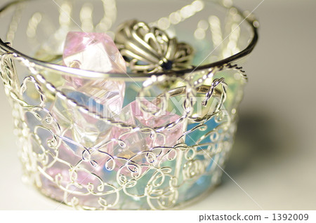 accessory case accessory case 1392009