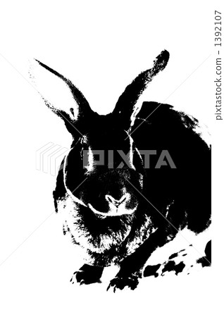 一隻兔子 1392107