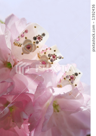 與石頭和蓬鬆桃紅色yazacy的花紋花樣 與石頭和蓬鬆桃紅色yazacy的花紋花樣 1392436