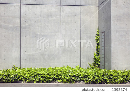 種植在建築物周圍 1392874