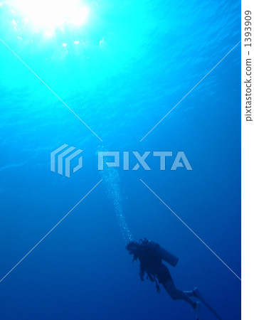 治愈海 1393909