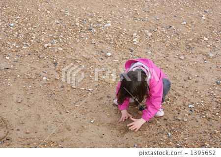 Sandbird at Eastbourne Beach 1395652