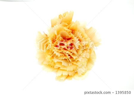 imitation flower, bloom, blossom 1395850