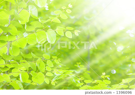 假髮 翠綠 鮮綠 1396096