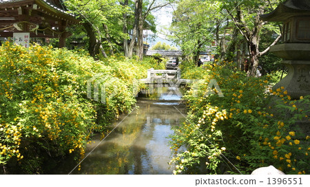 Yamabuki Festival 1396551