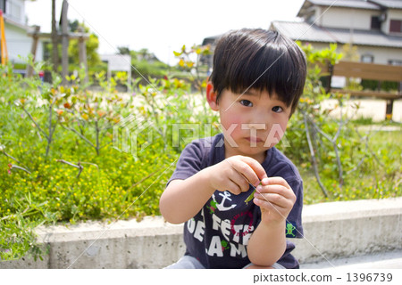 Crazy about making bean flute 02 1396739