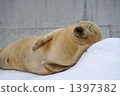 Blissful sleeping face 3 1397382