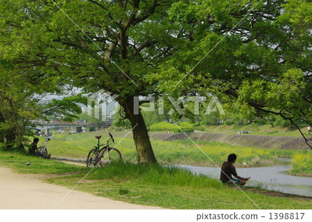 Shade of tree Shade of tree 1398817