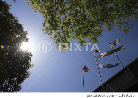 carp streamer, japanese carp-shaped windsock, tree 1399123