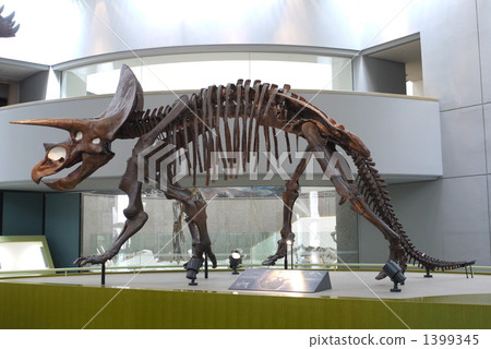 恐龍 1399345