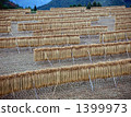 arid, straw, paddy 1399973