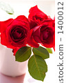 Rose   1400012