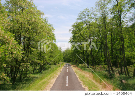 自行車專屬道路 1400464