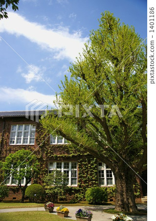 新鮮的綠色大學 新鮮的綠色大學 1401186