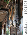 salmon, yahiko, saltwater fish 1401205