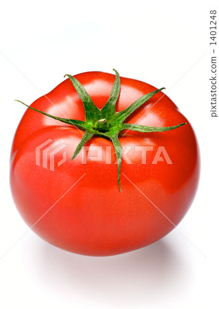 蕃茄 1401248