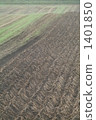 potato field, field, black soil 1401850