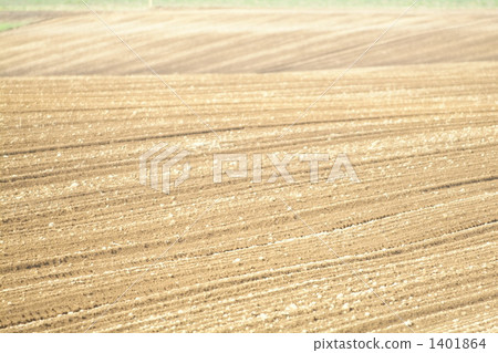 field, earth, stripe 1401864