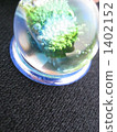 Glass beads 1402152
