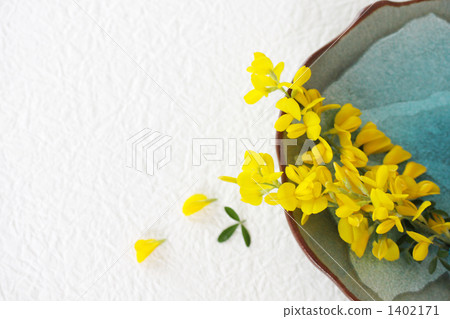 金雀兒鏈接 盤碟類 菜品 1402171