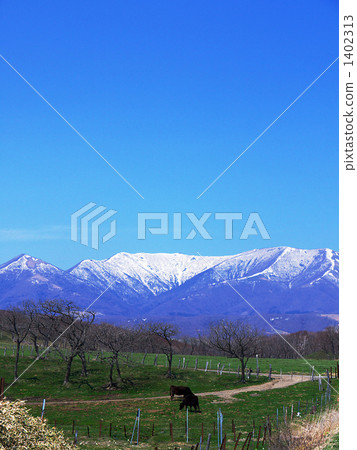 日高山脈·山地農場 1402313