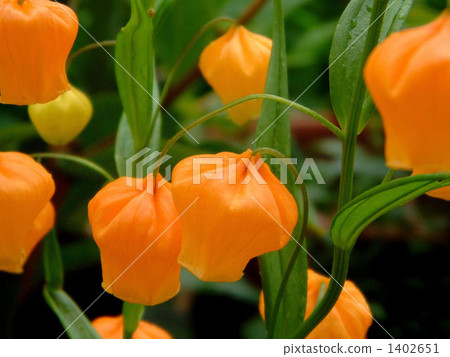 It sounds like ♪ 1402651