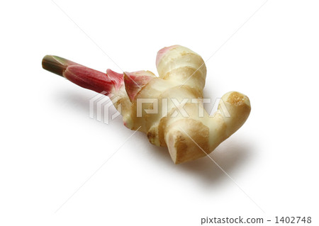 新姜 新姜 1402748