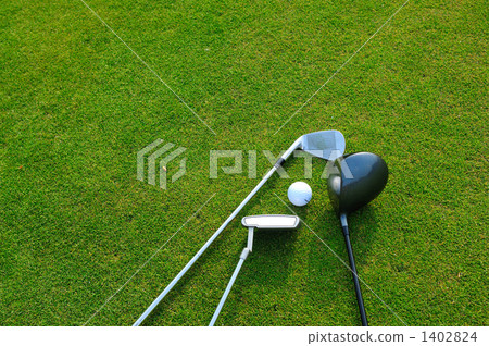 高爾夫球 1402824