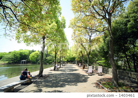 Fresh green Fresh green 1403461