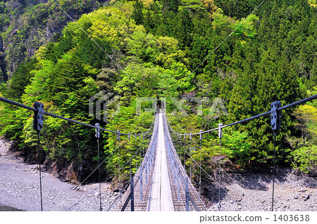 新鮮的綠色雨雲谷 新鮮的綠色雨雲谷 1403638