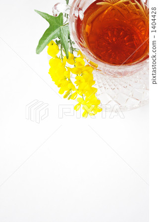 花 茶杯 茶 1404428