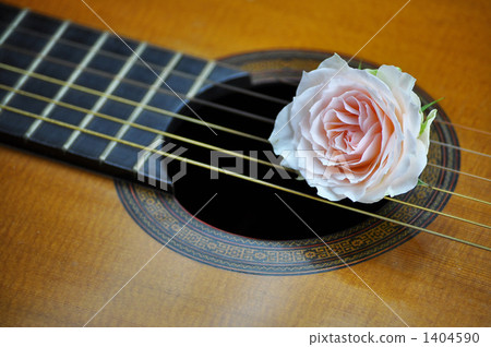 玫瑰和吉他 玫瑰和吉他 1404590