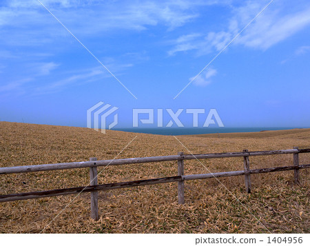 Erimo Cape: Sasa no hill and fence 1404956