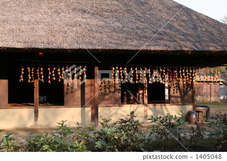 Private house with dried persimmon and roof 1405048