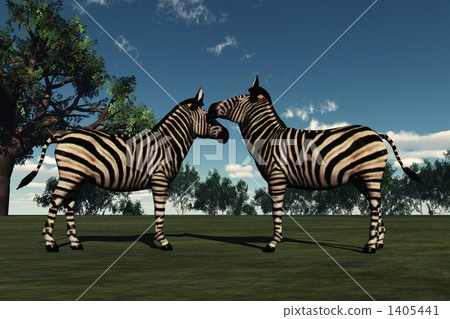 Zebra Kiss 1405441