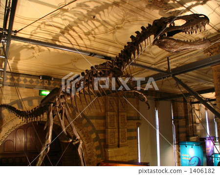 倫敦自然歷史博物館 1406182